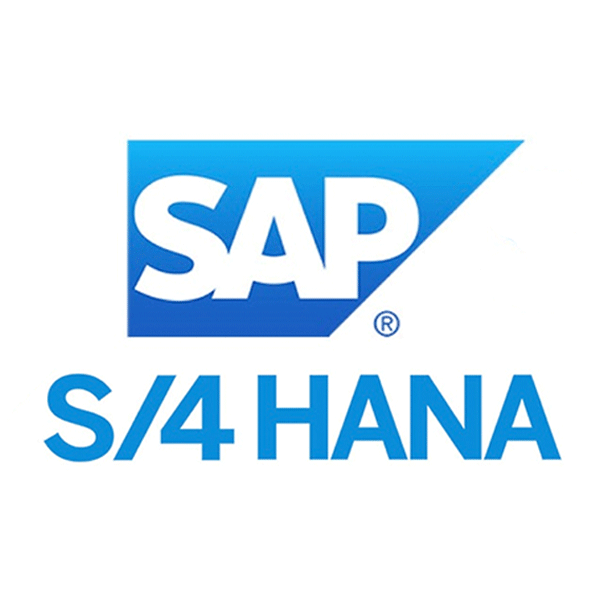 Sistema SAP con S/4 Hana: Una Panoramica